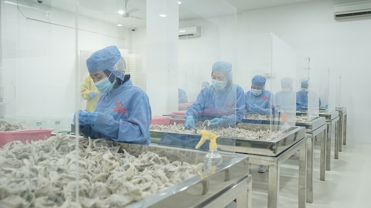 Preparing Raw Materials