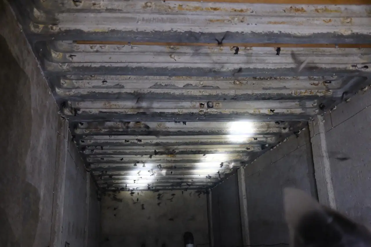 Bird House 04 | Indonesia Bird Nest