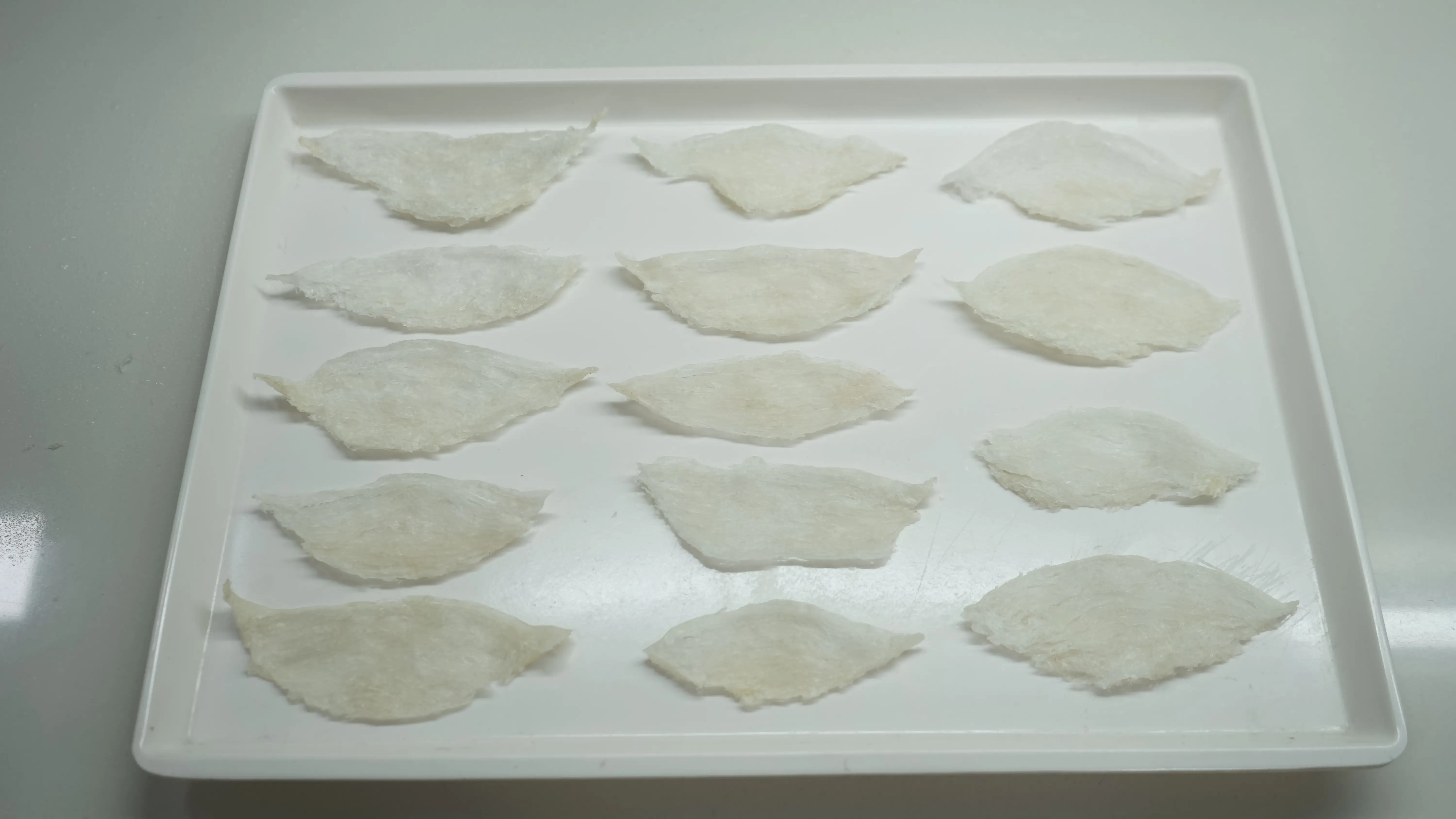 DSC00173 | Indonesia Bird Nest