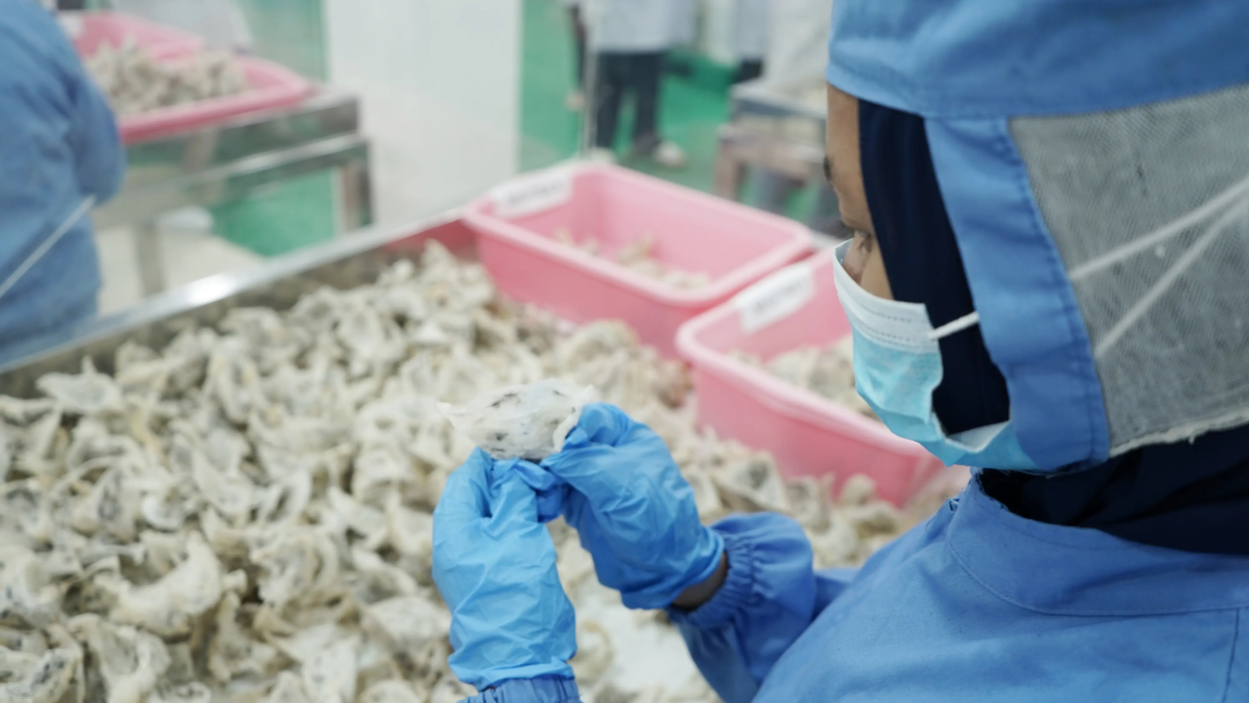 DSC03370 | Indonesia Bird Nest