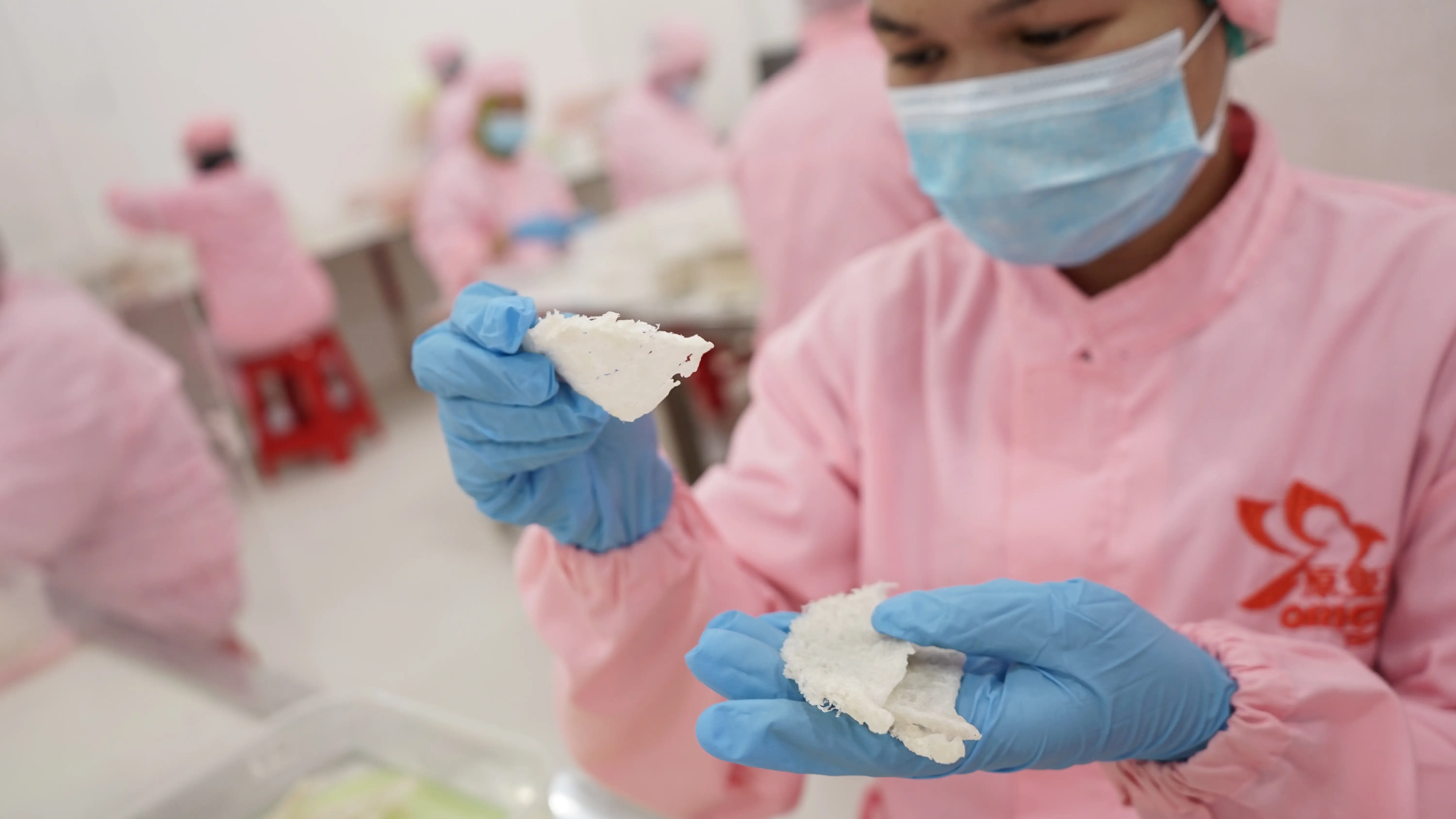 DSC03443 | Indonesia Bird Nest