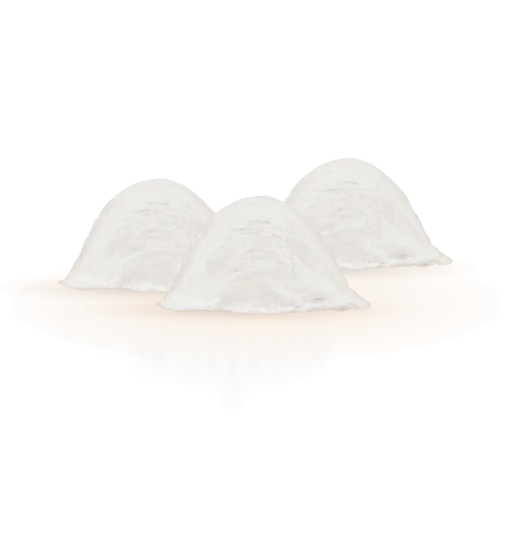 Three white dumplings on plate