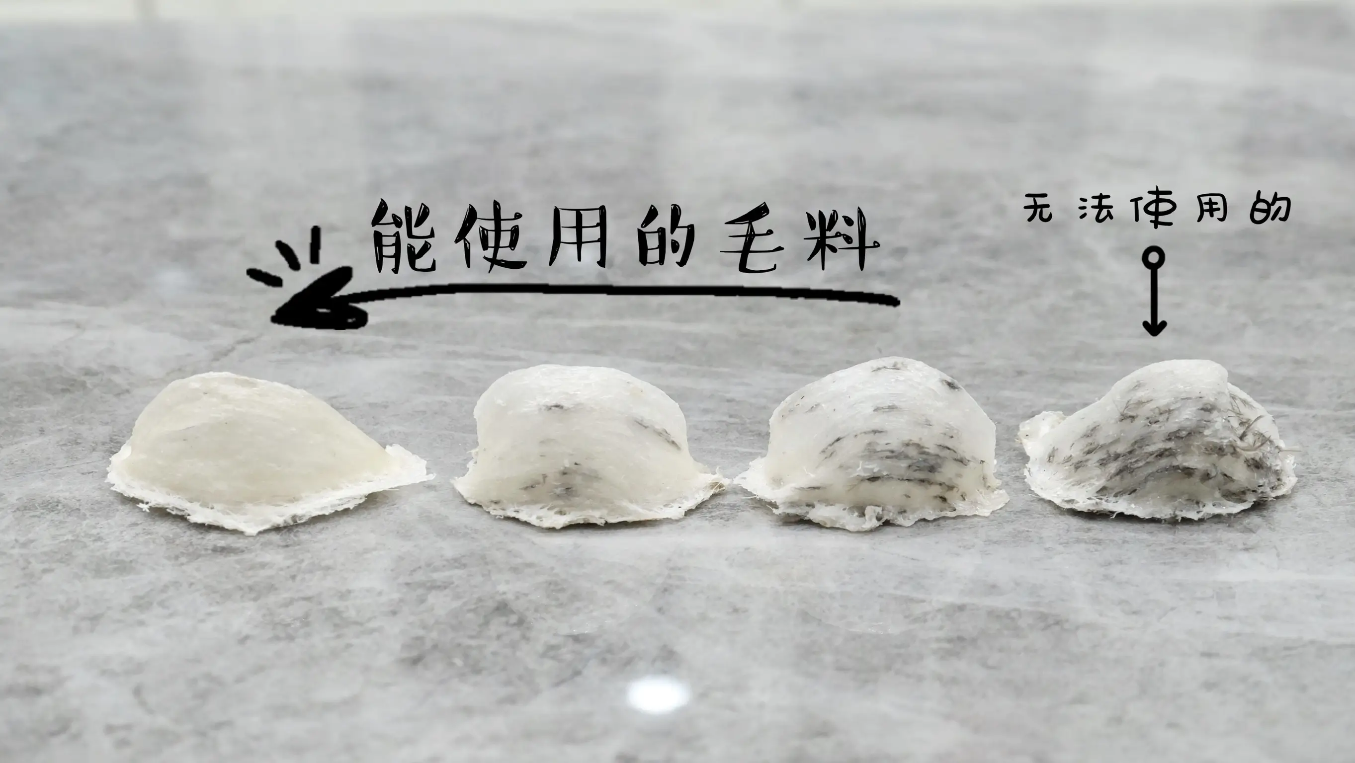 Slide 16b | Indonesia Bird Nest