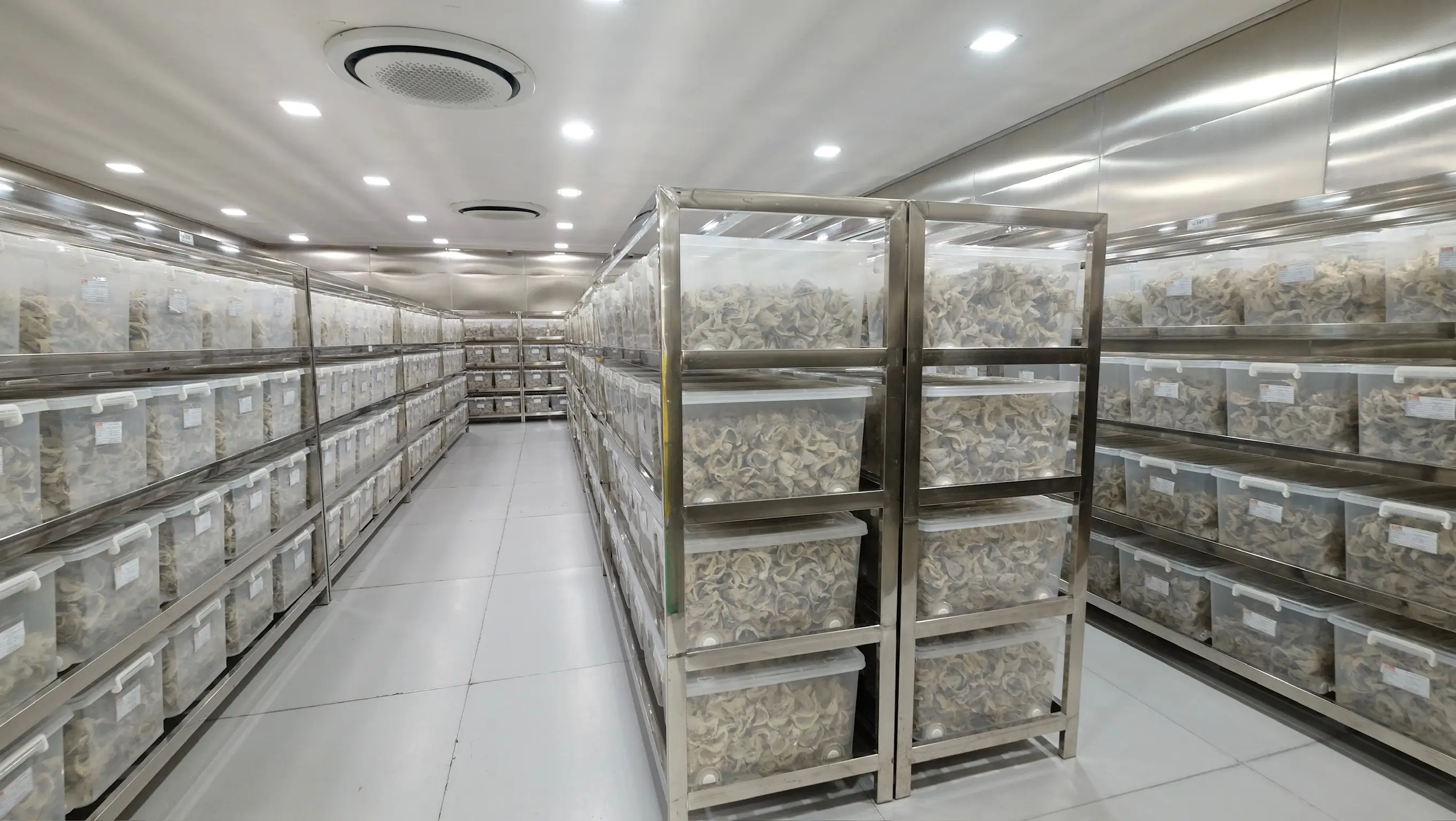 Slide 17c | Indonesia Bird Nest