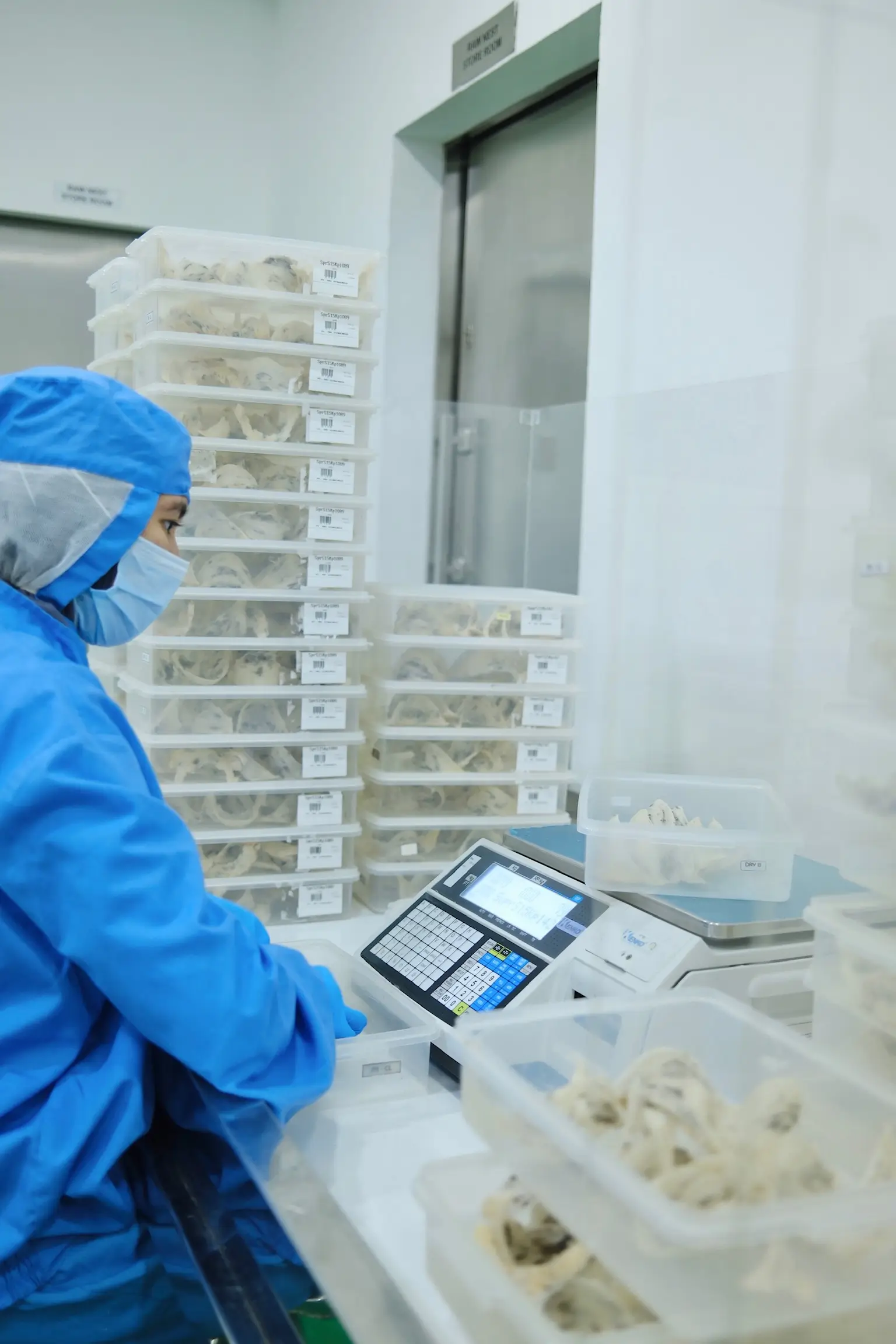 Slide 17d | Indonesia Bird Nest