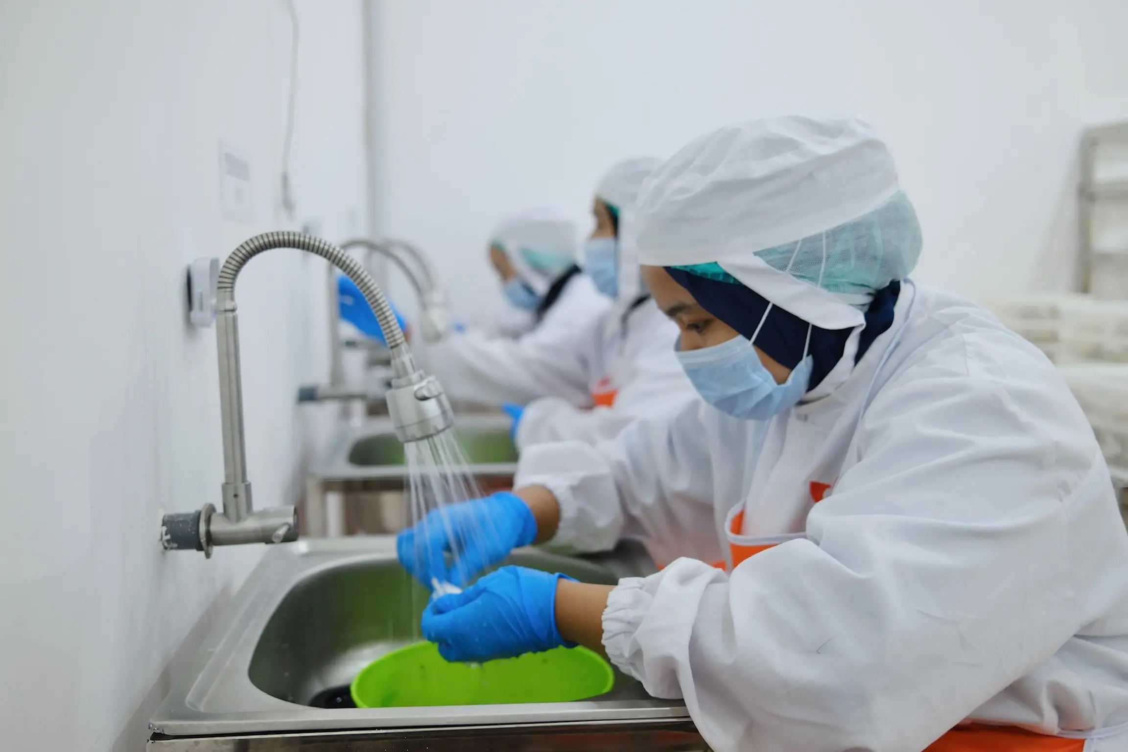 Slide 18a | Indonesia Bird Nest