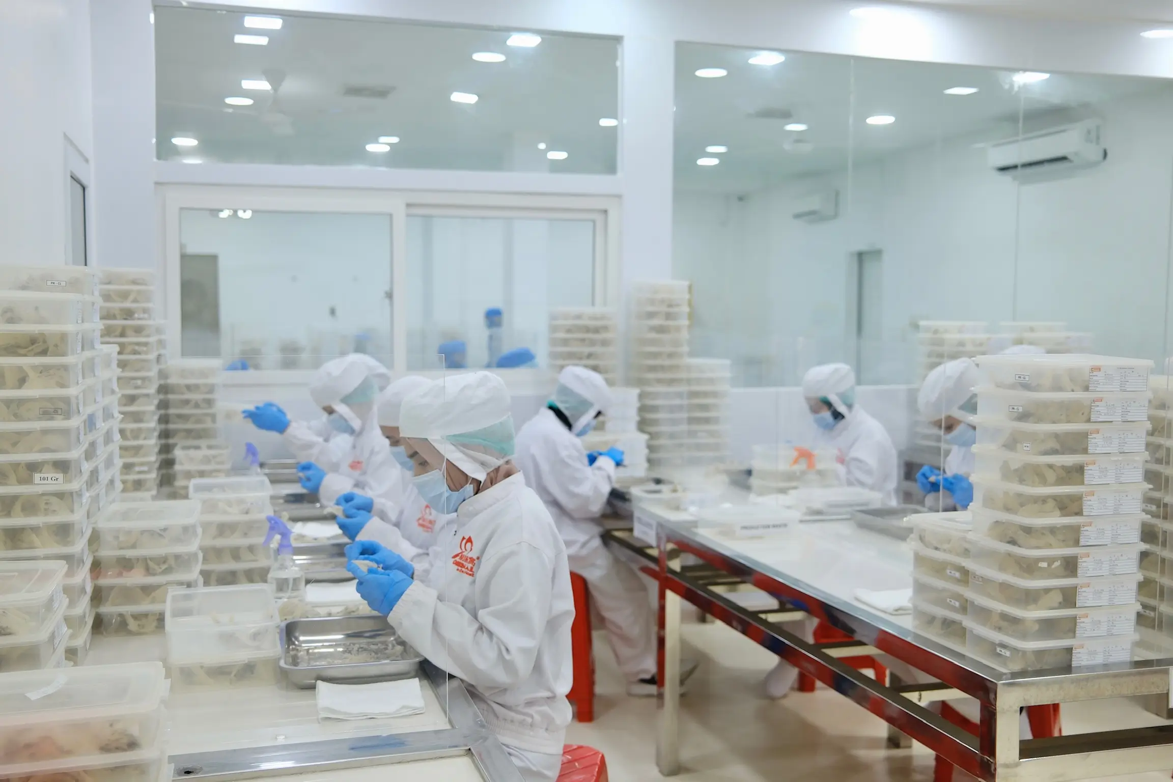 Slide 18b | Indonesia Bird Nest