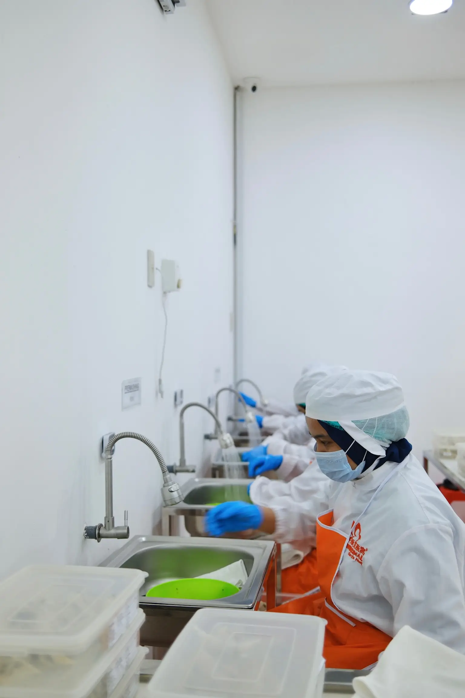 Slide 18e | Indonesia Bird Nest