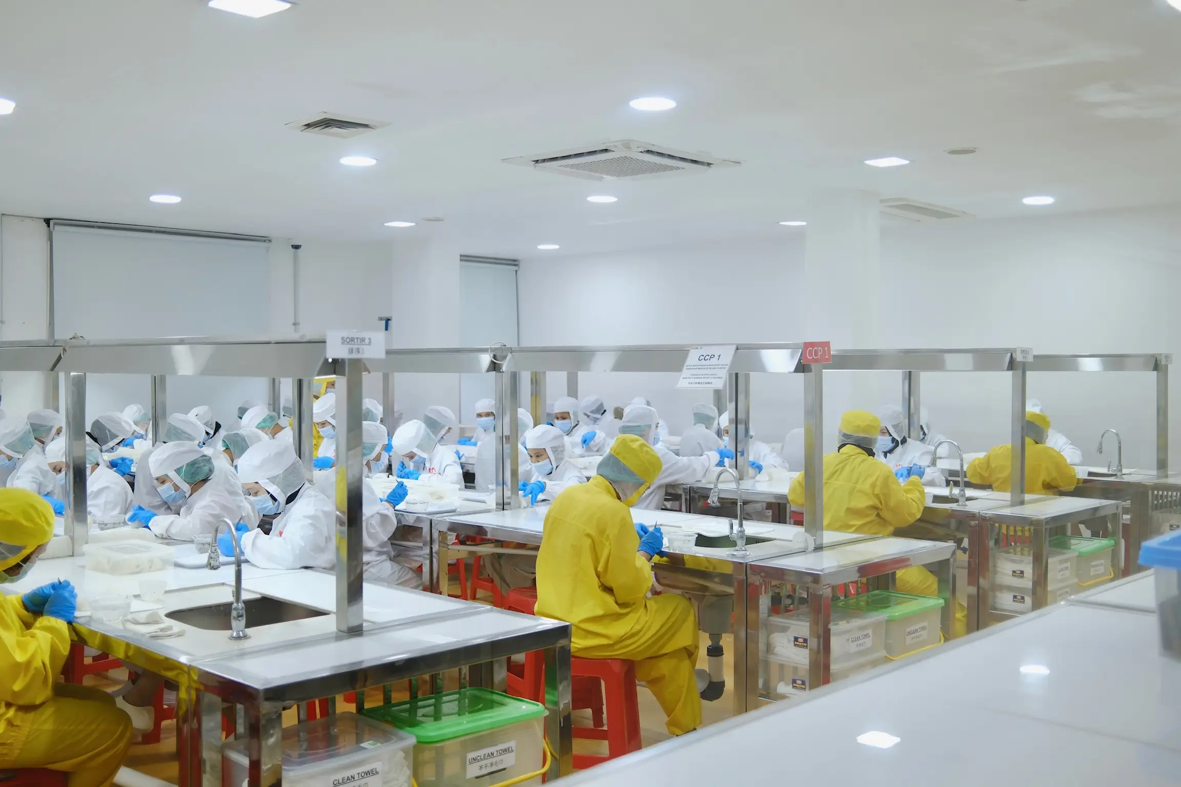 Slide 19b | Indonesia Bird Nest