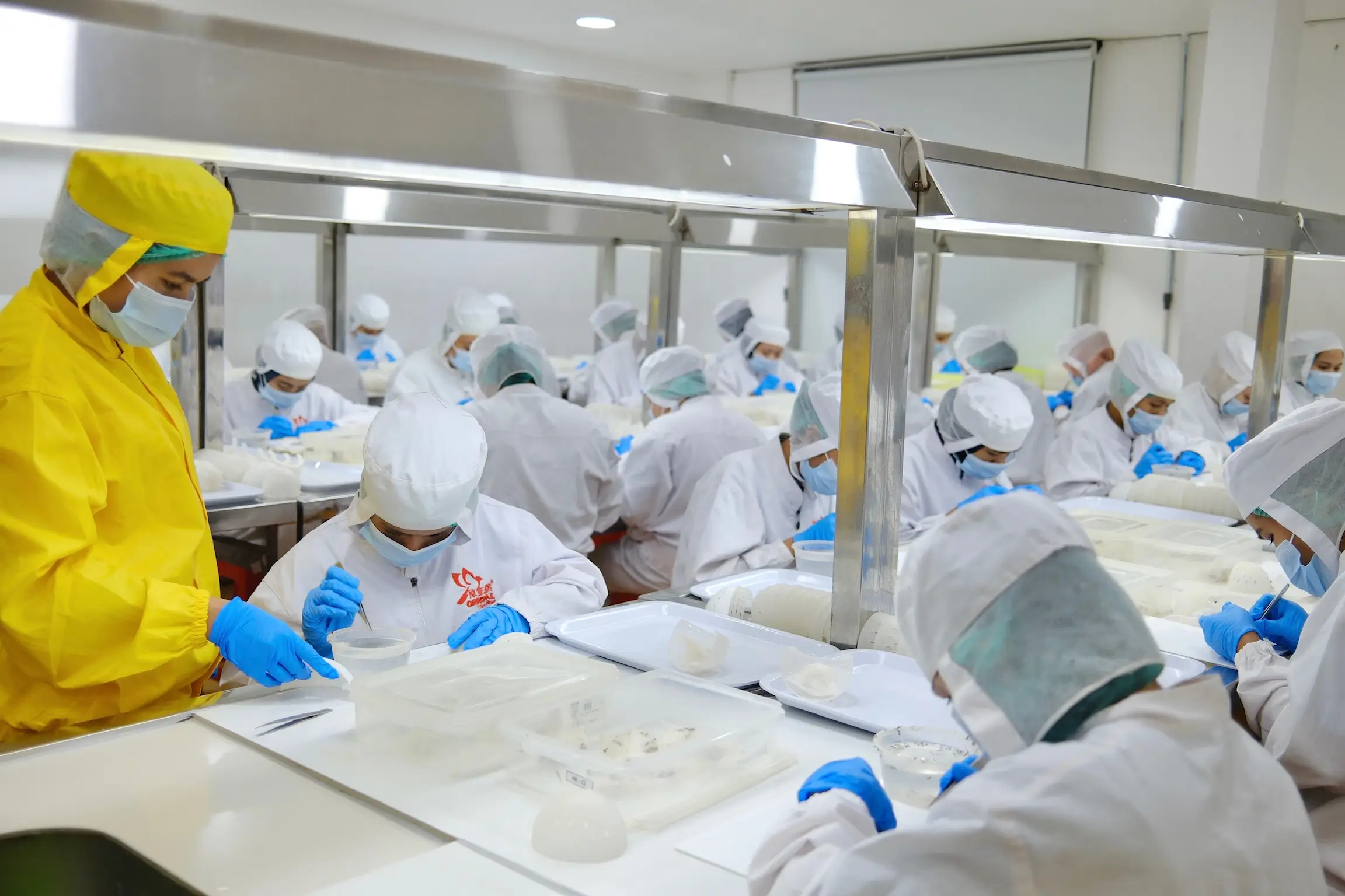 Slide 19d | Indonesia Bird Nest