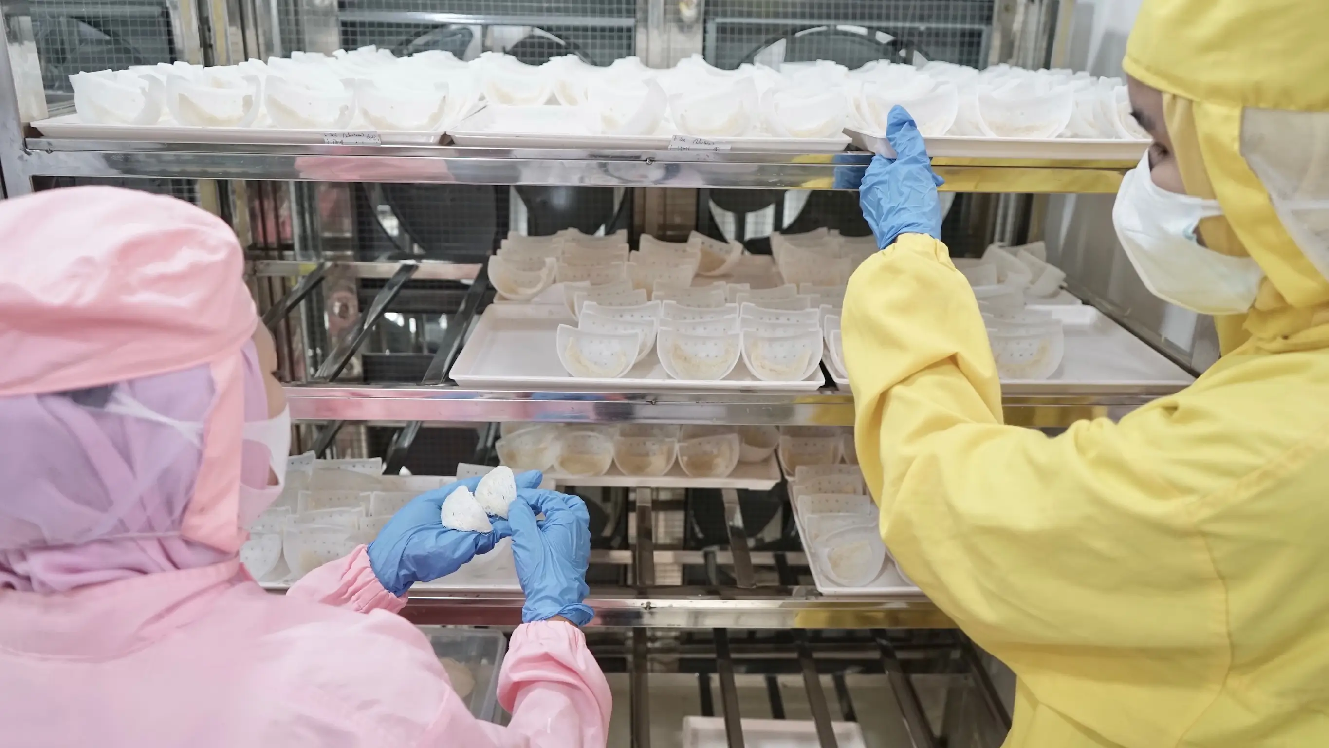 Slide 21d | Indonesia Bird Nest