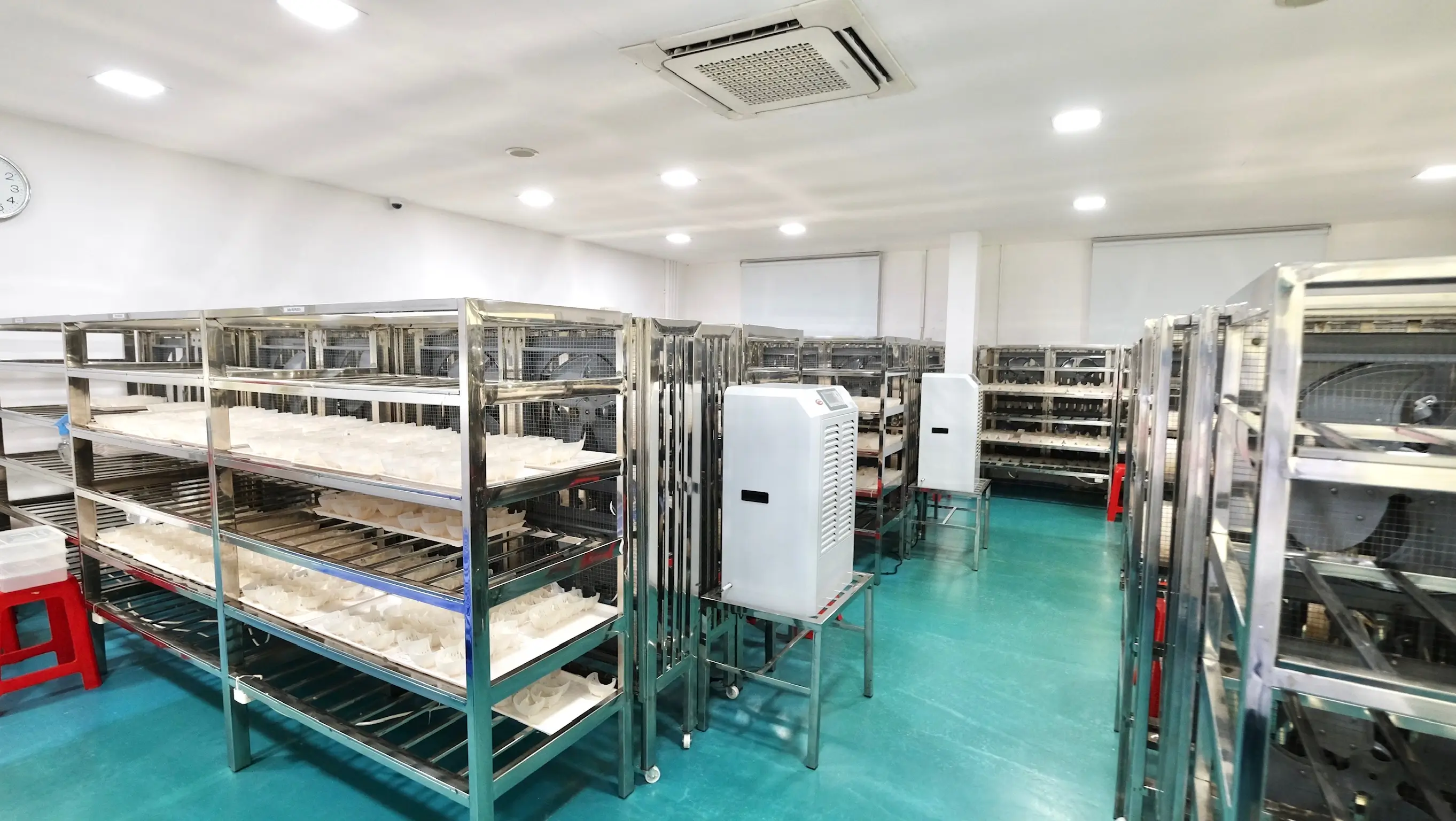 Slide 21e | Indonesia Bird Nest