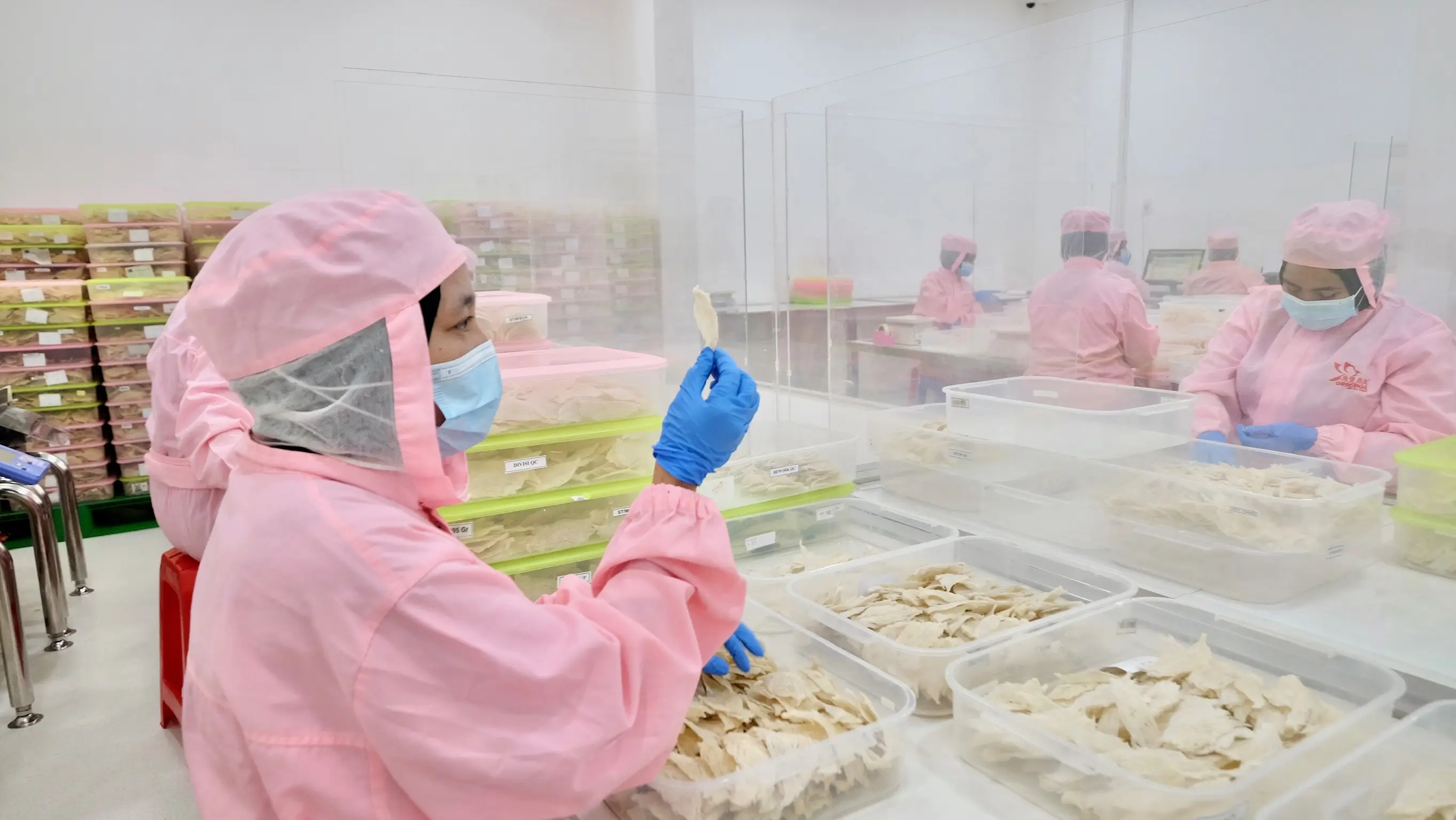 Slide 22c | Indonesia Bird Nest