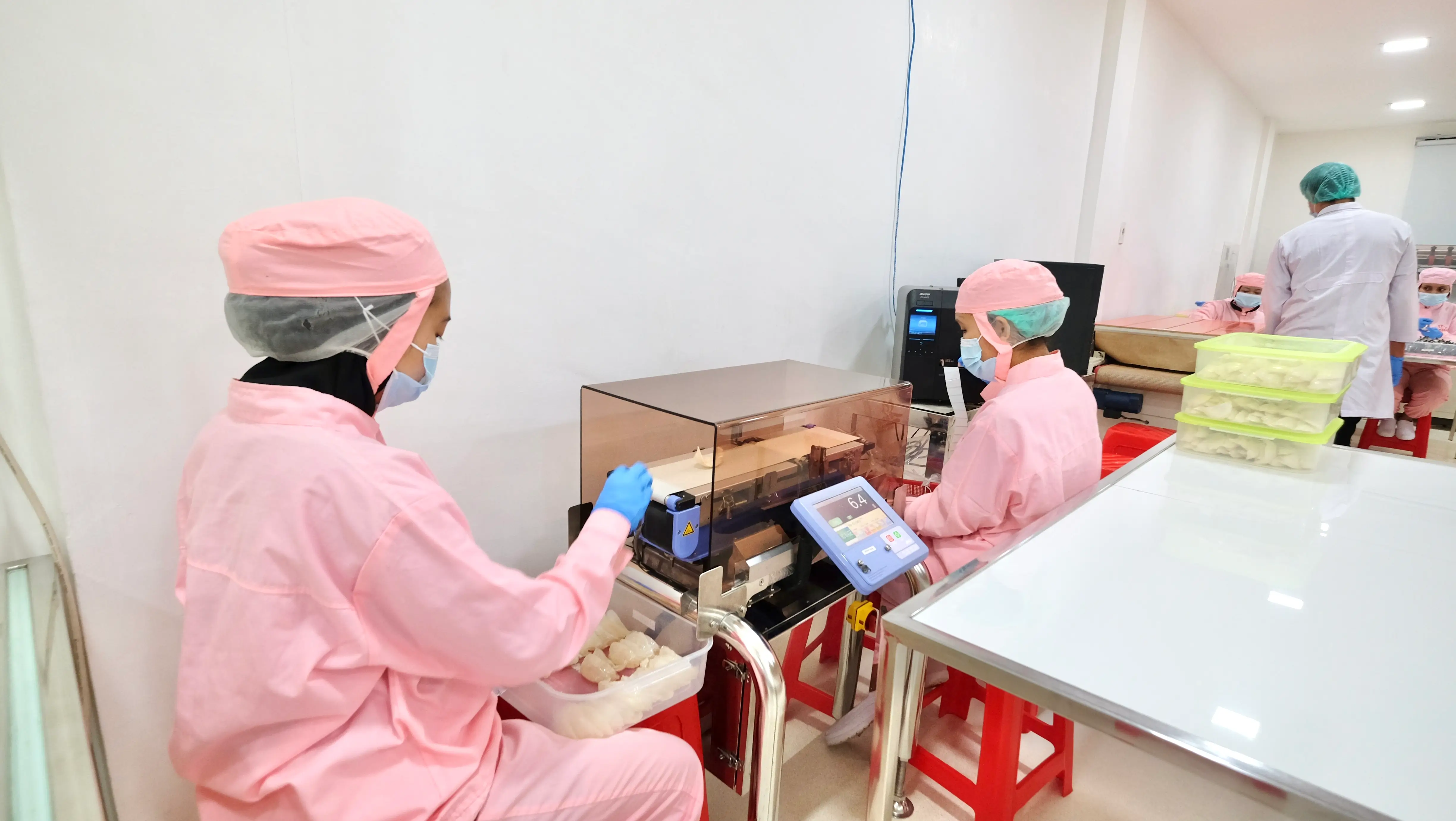 Slide 24b | Indonesia Bird Nest