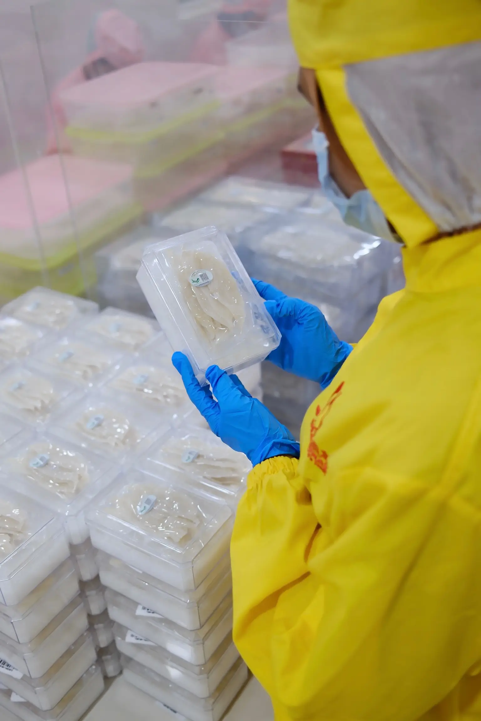 Slide 25a | Indonesia Bird Nest