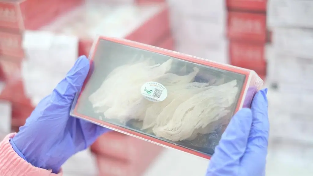 Slide 25b | Indonesia Bird Nest