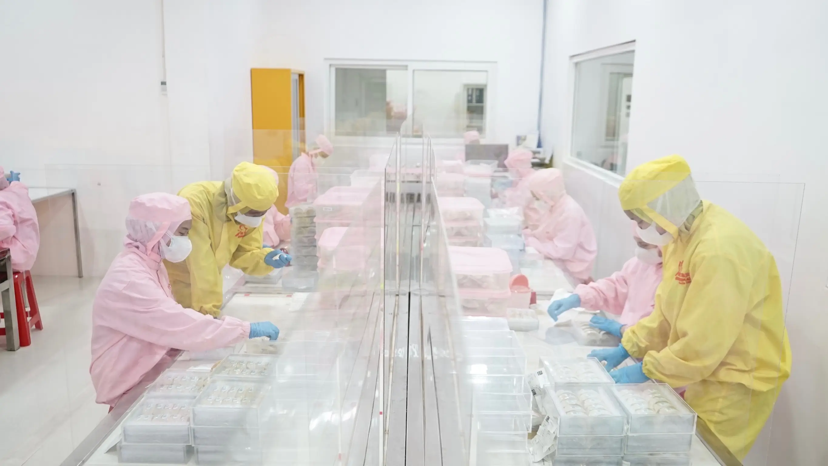 Slide 25d | Indonesia Bird Nest