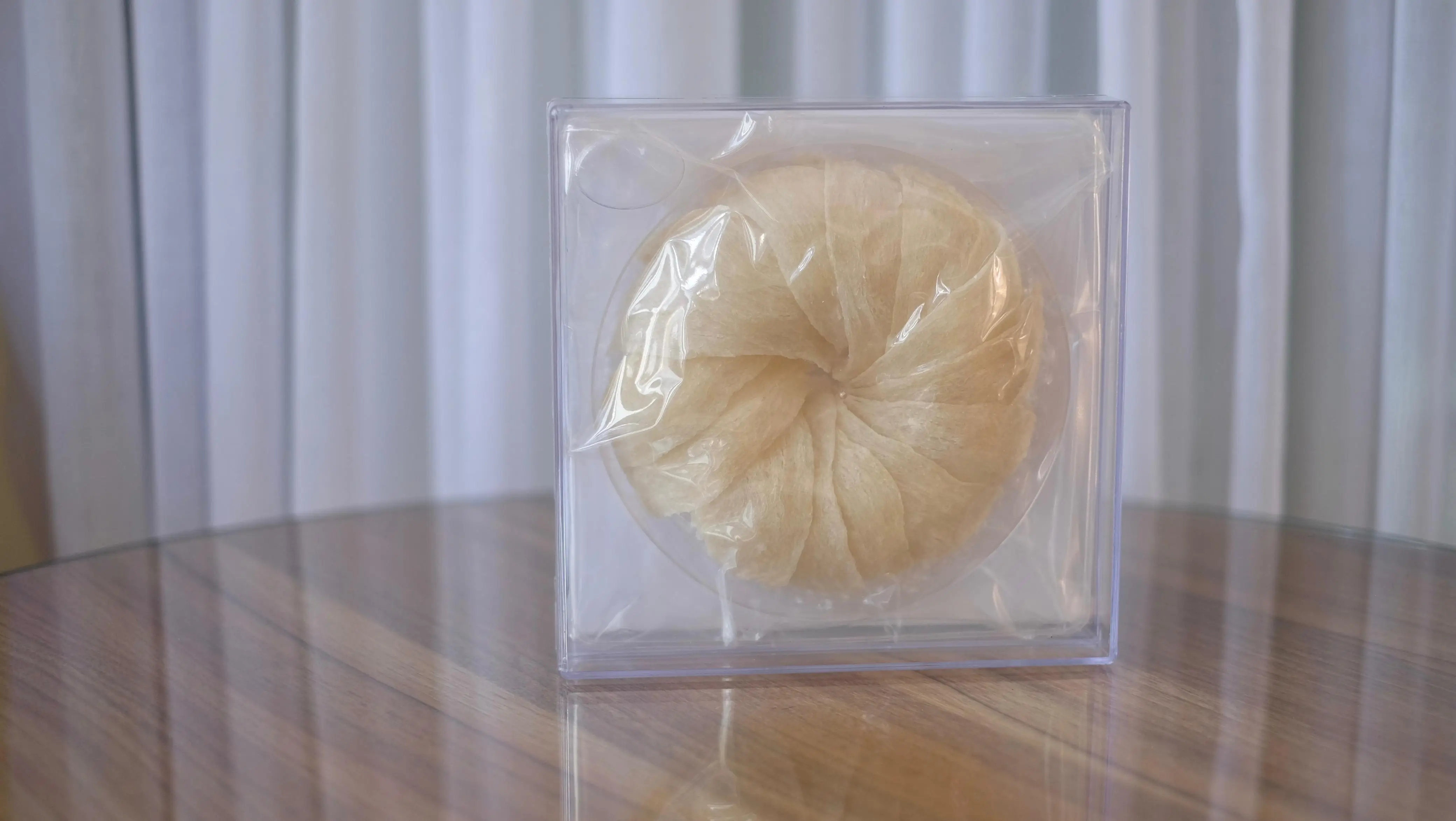 elegant1 | Indonesia Bird Nest