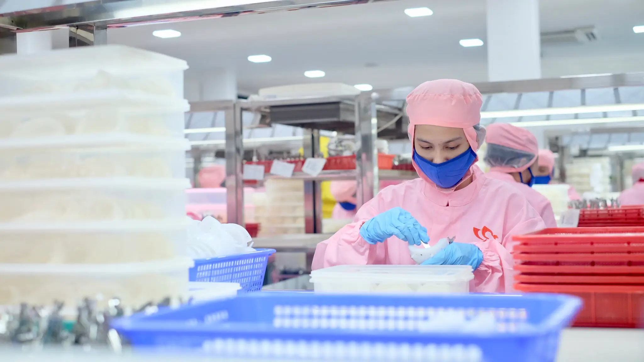 moulding1 | Indonesia Bird Nest