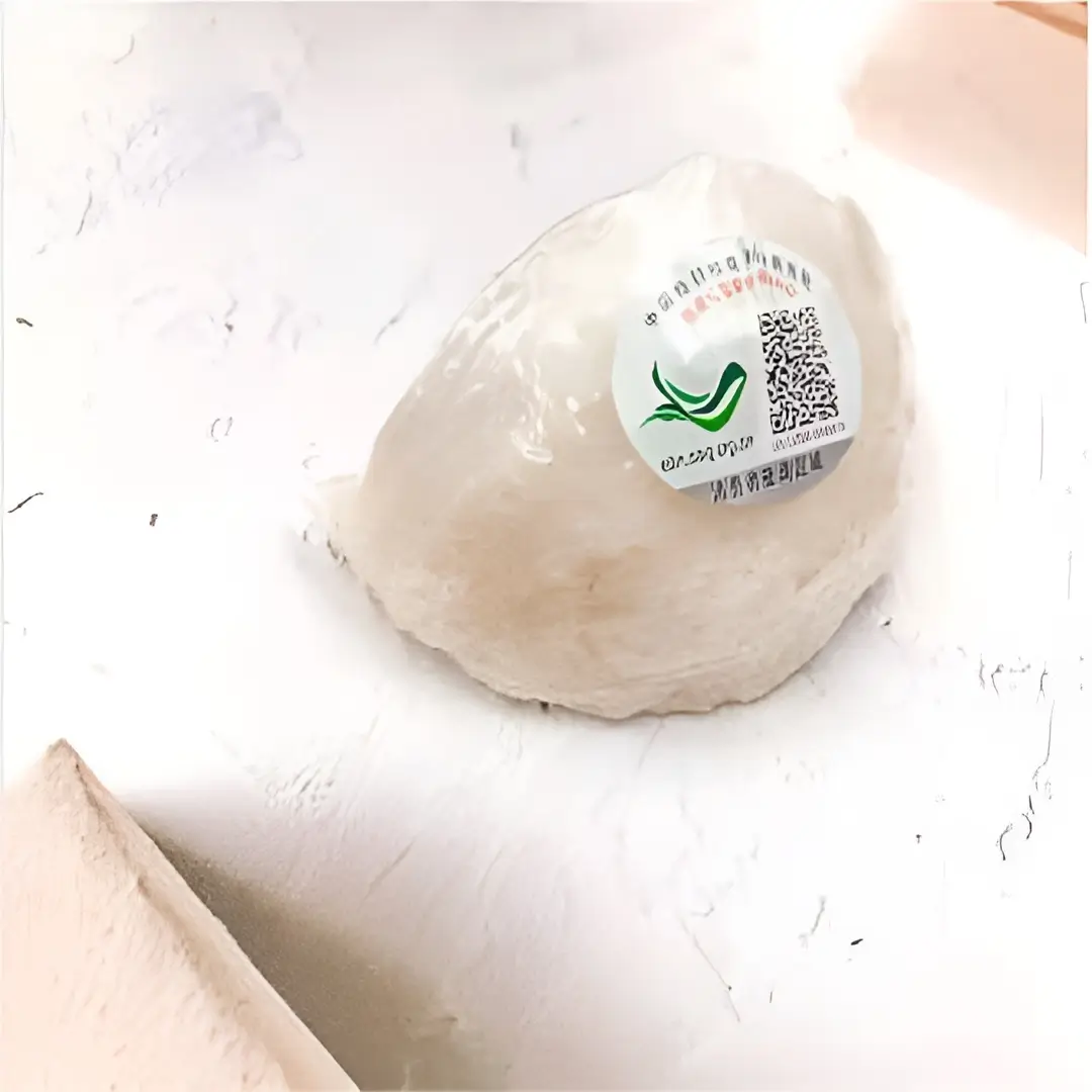 Elegant 1 | Indonesia Bird Nest