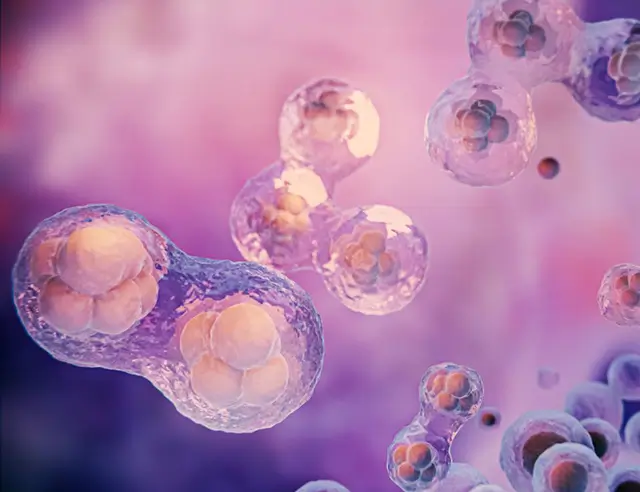 Home 3 Promotes Cellular Repair | Indonesia Bird Nest